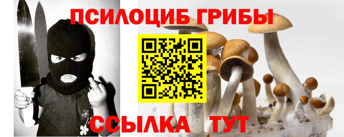 Зеленогорск  Галлюциногенные грибы Psilocybine cubensis  Вход с VPN 